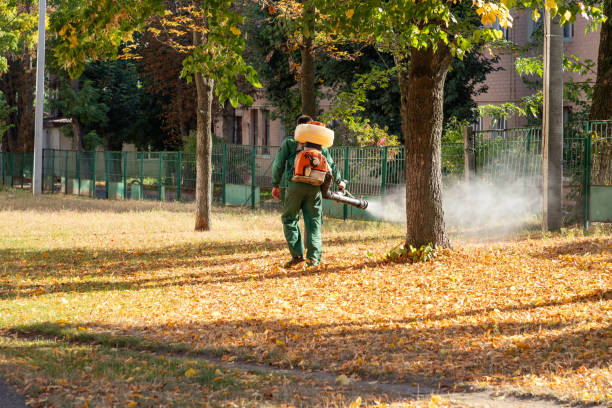 Best Mosquito Control Services  in Monroeville, PA
